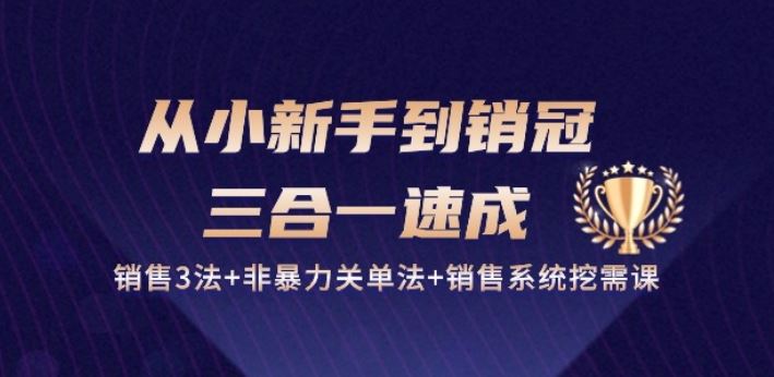 从小新手到销冠 三合一速成：销售3法+非暴力关单法+销售系统挖需课 (27节)-来友网创