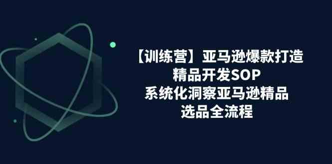 亚马逊爆款打造之精品开发SOP【训练营】，系统化洞察亚马逊精品选品全流程-来友网创