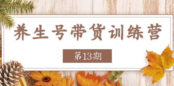 养生号带货训练营【第13期】收益更稳定的玩法，让你带货收益爆炸-来友网创