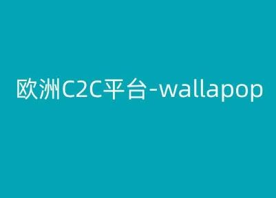 欧洲C2C平台-wallapop-kim跨境电商教程-来友网创