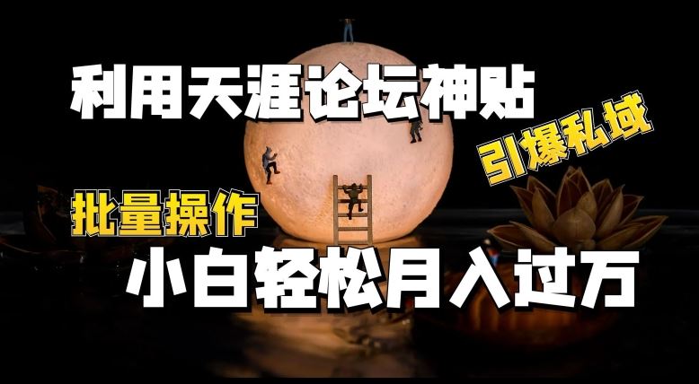 利用天涯论坛神贴，引爆私域，批量操作，小白轻松月入过w【揭秘】-来友网创