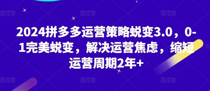 2024拼多多运营策略蜕变3.0，0-1完美蜕变，解决运营焦虑，缩短运营周期2年+-来友网创