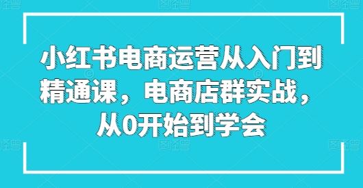 小红书电商运营从入门到精通课，电商店群实战，从0开始到学会-来友网创