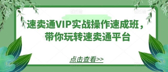 速卖通VIP实战操作速成班，带你玩转速卖通平台-来友网创