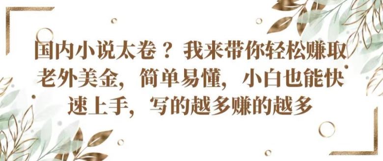 国内小说太卷 ?带你轻松赚取老外美金，简单易懂，小白也能快速上手，写的越多赚的越多【揭秘】-来友网创