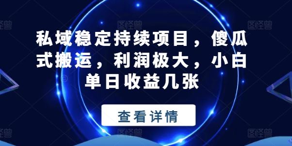 私域稳定持续项目，傻瓜式搬运，利润极大，小白单日收益几张【揭秘】-来友网创