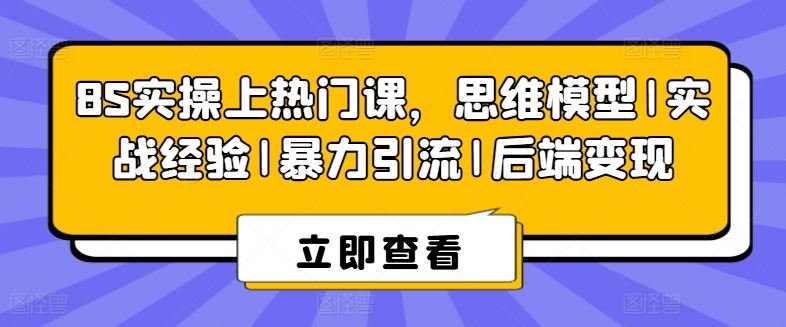 8S实操上热门课，思维模型|实战经验|暴力引流|后端变现-来友网创