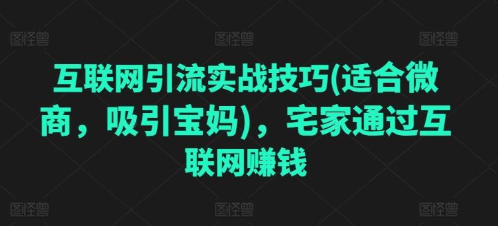 互联网引流实战技巧(适合微商，吸引宝妈)，宅家通过互联网赚钱-来友网创