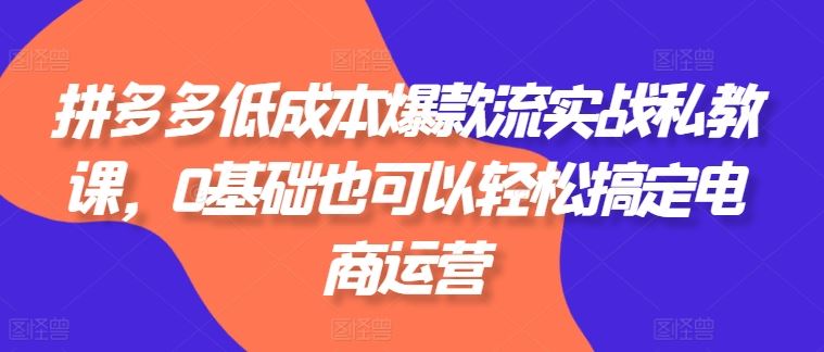 拼多多低成本爆款流实战私教课，0基础也可以轻松搞定电商运营-来友网创