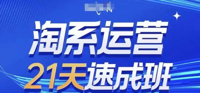 淘系运营21天速成班(更新24年6月)，0基础轻松搞定淘系运营，不做假把式-来友网创