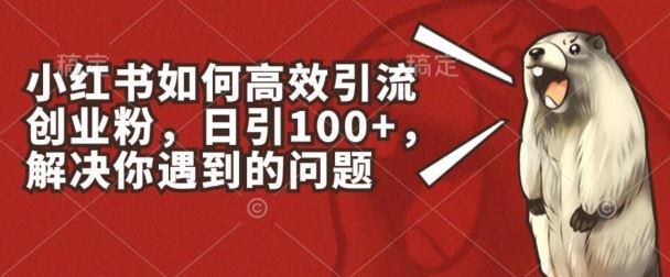 小红书如何高效引流创业粉，日引100+，解决你遇到的问题【揭秘】-来友网创