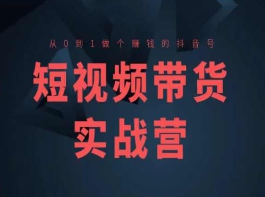 短视频带货实战营(高阶课)，从0到1做个赚钱的抖音号-来友网创