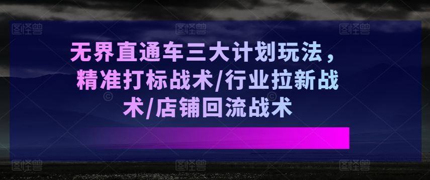 无界直通车三大计划玩法，精准打标战术/行业拉新战术/店铺回流战术-来友网创