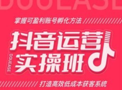 抖音运营实操班，掌握可盈利账号孵化方法，打造高效低成本获客系统-来友网创