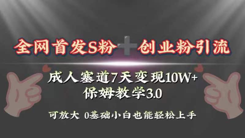 （8337期）全网首发s粉加创业粉引流变现，成人用品赛道7天变现10w+保姆教学3.0-来友网创