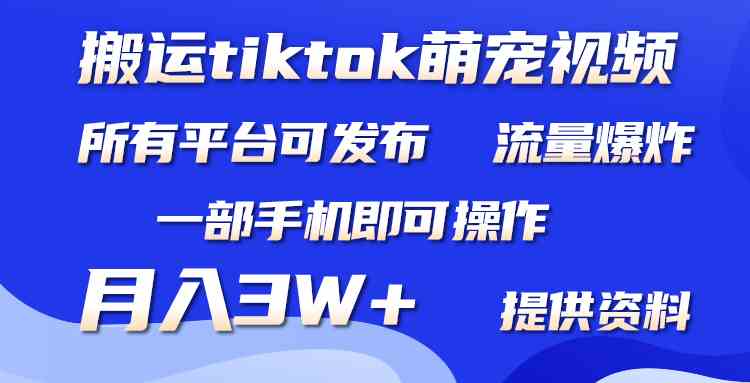 （9618期）搬运Tiktok萌宠类视频，一部手机即可。所有短视频平台均可操作，月入3W+-来友网创