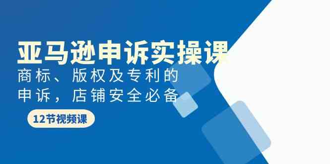 （9754期）亚马逊-申诉实战课，​商标、版权及专利的申诉，店铺安全必备-来友网创