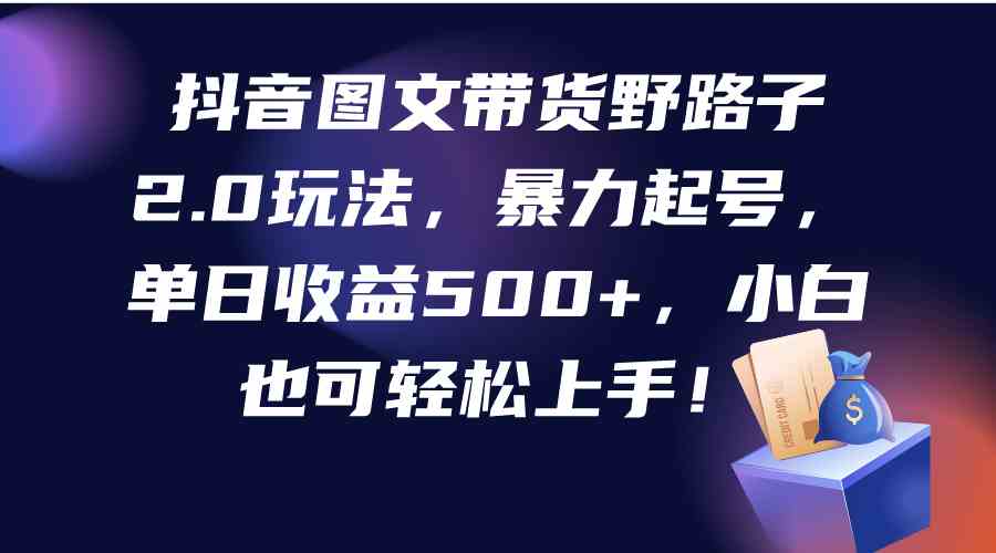 （9790期）抖音图文带货野路子2.0玩法，暴力起号，单日收益500+，小白也可轻松上手！-来友网创