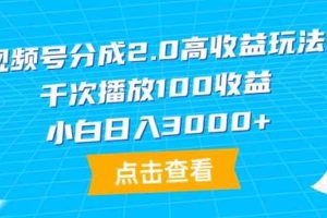 （9716期）视频号分成2.0高收益玩法，千次播放100收益，小白日入3000+-来友网创