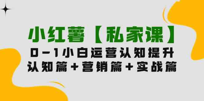 （9910期）小红薯【私家课】0-1玩赚小红书内容营销，认知篇+营销篇+实战篇（11节课）-来友网创