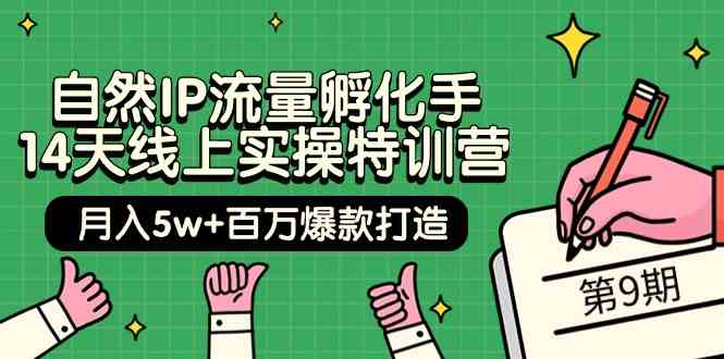 （9881期）自然IP流量孵化手 14天线上实操特训营【第9期】月入5w+百万爆款打造 (74节)-来友网创