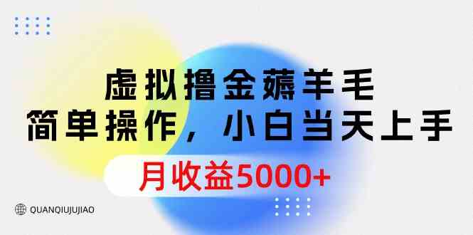 （9864期）虚拟撸金薅羊毛，简单操作，小白当天上手，月收益5000+-来友网创