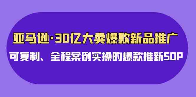 （9944期）亚马逊30亿·大卖爆款新品推广，可复制、全程案例实操的爆款推新SOP-来友网创