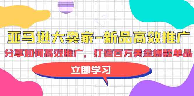 （9945期）亚马逊 大卖家-新品高效推广，分享如何高效推广，打造百万美金爆款单品-来友网创