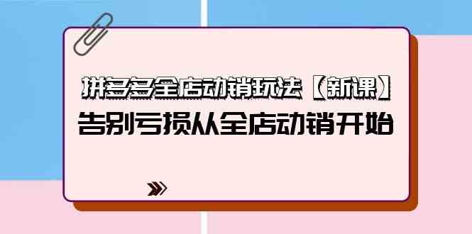 （9974期）拼多多全店动销玩法【新课】，告别亏损从全店动销开始（4节视频课）-来友网创