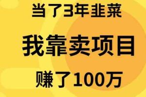 （10149期）当了3年韭菜，我靠卖项目赚了100万-来友网创