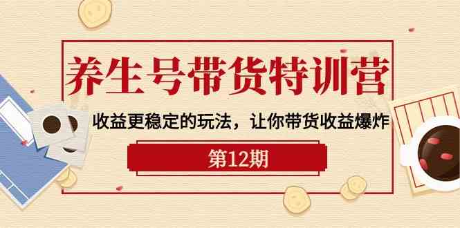 （10110期）养生号带货特训营【12期】收益更稳定的玩法，让你带货收益爆炸-9节直播课-来友网创