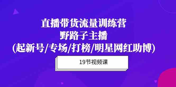 （10016期）直播带货流量特训营，野路子主播(起新号/专场/打榜/明星网红助博)19节课-来友网创