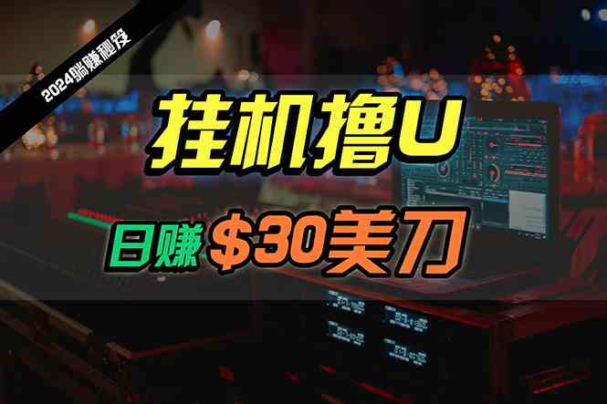 （10013期）日赚30美刀，2024最新海外挂机撸U内部项目，全程无人值守，可批量放大-来友网创