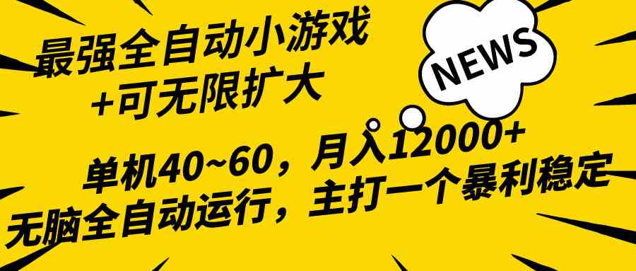 （10046期）2024最新全网独家小游戏全自动，单机40~60,稳定躺赚，小白都能月入过万-来友网创