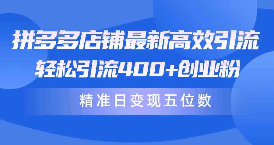 （10041期）拼多多店铺最新高效引流术，轻松引流400+创业粉，精准日变现五位数！-来友网创