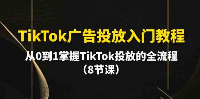 （10085期）TikTok广告投放入门教程，从0到1掌握TikTok投放的全流程（8节课）-来友网创