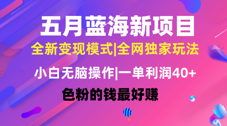 （10477期）五月蓝海项目全新玩法，小白无脑操作，一天几分钟，矩阵操作，月入4万+-来友网创