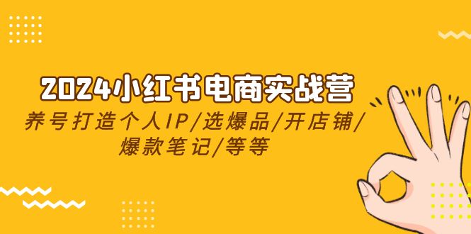 （10375期）2024小红书电商实战营，养号打造IP/选爆品/开店铺/爆款笔记/等等（24节）-来友网创