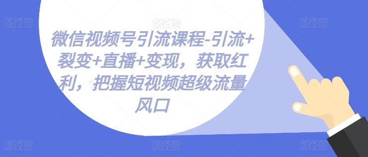 微信视频号引流课程-引流+裂变+直播+变现，获取红利，把握短视频超级流量风口-来友网创