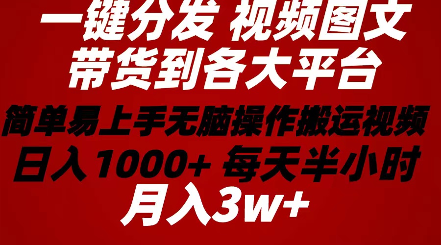 （10667期）2024年 一键分发带货图文视频  简单易上手 无脑赚收益 每天半小时日入1…-来友网创