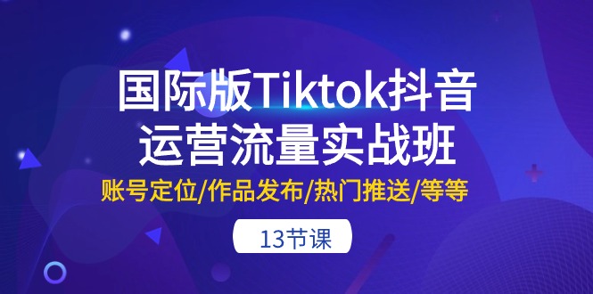 （10712期）国际版Tiktok抖音运营流量实战班：账号定位/作品发布/热门推送/等等-13节-来友网创