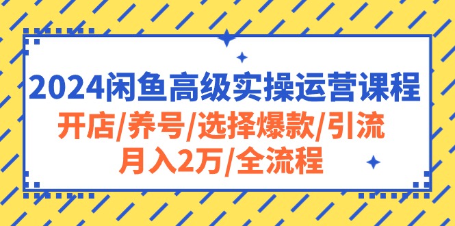 （10711期）2024闲鱼高级实操运营课程：开店/养号/选择爆款/引流/月入2万/全流程-来友网创