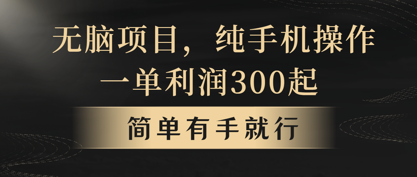 （10699期）无脑项目，一单几百块，轻松月入5w+，看完就能直接操作-来友网创