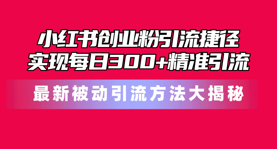 （10692期）小红书创业粉引流捷径！最新被动引流方法大揭秘，实现每日300+精准引流-来友网创