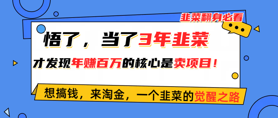 （10759期）悟了，当了3年韭菜，才发现网赚圈年赚100万的核心是卖项目，含泪分享！-来友网创