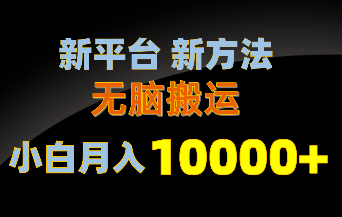 （10605期）新平台新方法，无脑搬运，月赚10000+，小白轻松上手不动脑-来友网创