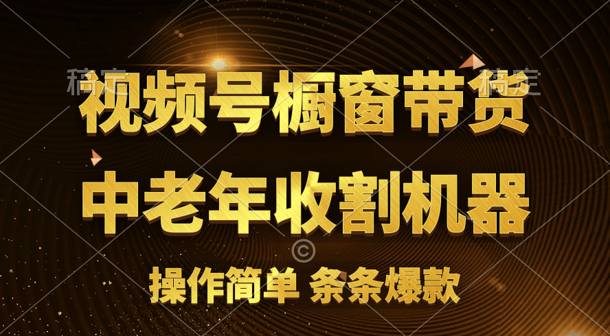 （11009期）[你的孩子成功取得高位]视频号最火爆赛道，橱窗带货，流量分成计划，条…-来友网创