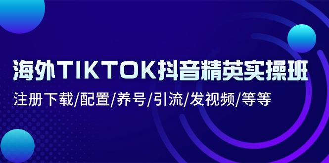 （10998期）海外TIKTOK抖音精英实操班：注册下载/配置/养号/引流/发视频/等等-来友网创