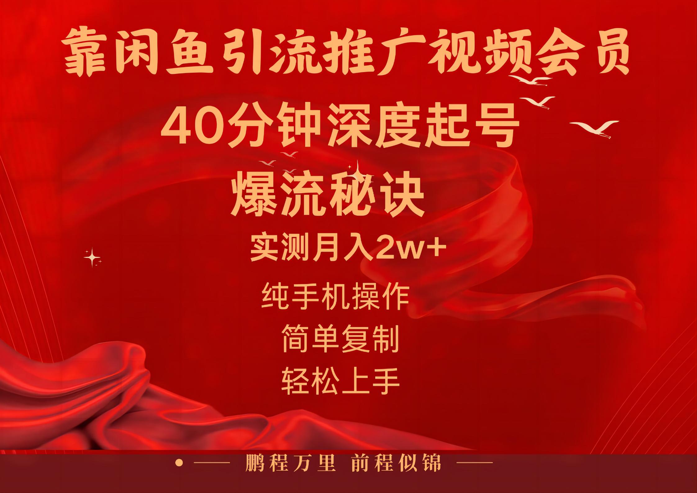 （10896期）闲鱼暴力引流推广视频会员，能做到日入2W+，操作简单-来友网创