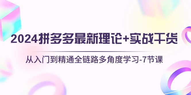 （10816期）2024拼多多 最新理论+实战干货，从入门到精通全链路多角度学习-7节课-来友网创